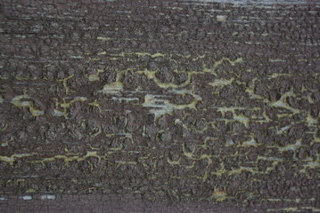 The texture of the old cracked paint.