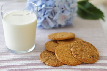 Obraz na płótnie Canvas Oat cookies with glass of milk for breakfast on table cloth and blue flower on background, rustic healthy food 