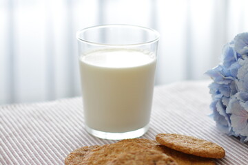 Oat cookies with glass of milk for breakfast on table cloth and blue flower on background, rustic healthy food 