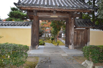 Obraz premium 紅葉の京都