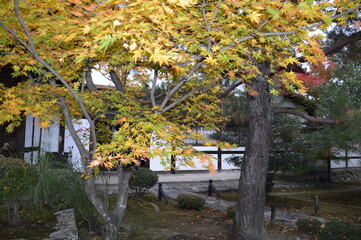 紅葉の京都
