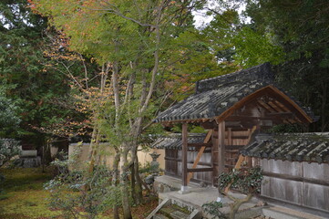 Fototapeta na wymiar 秋の京都 