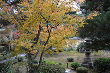紅葉の京都