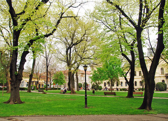 Walking path and forest in the park in the spring