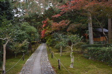 紅葉の京都