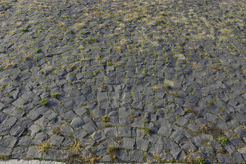 Fototapeta premium abstract background of cobblestone pavement of stone blocks
