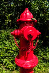 Red American Fire Hydrant