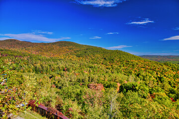 Fototapeta na wymiar Beautiful forest of New England in foliage season, USA