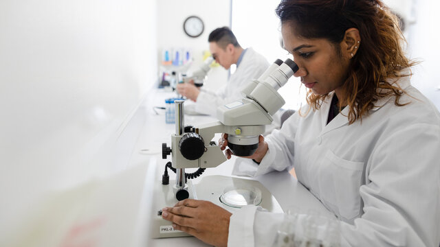 Female Medical Scientist Using Microscope