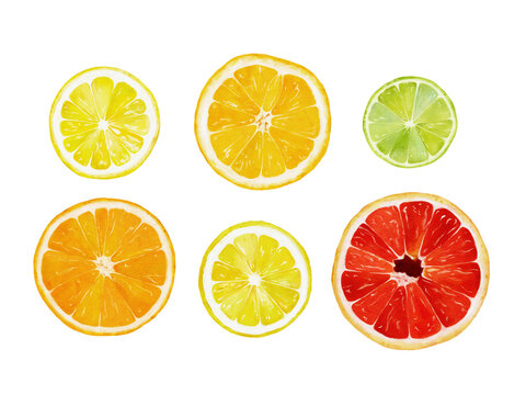 Watercolor banner of citrus fruits and leaves isolated on white background. Illustration for design wedding invitations, greeting cards, postcards.