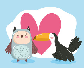 cute animal adorable little owl and toucan birds heart cartoon