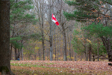 Colour nature photograph featuring a Canadian flag blowing in the breeze taken along the trails at Hell Holes Nature Trails in Napanee, Ontario Canada during a dry fall day. © Anxious Odd Art