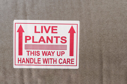 White and red LIVE PLANTS sticker on the side of a brown cardboard box.