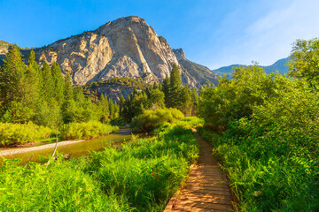 Californian excursion hike, Zumwalt Meadows hiking in Kings Canyon National Park, a large clearing in the forest with wildflowers and granite cliffs of Grand Sentinel obelisk rock.
