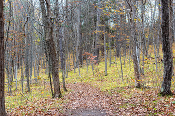 Colour nature photograph taken along the trails at Hell Holes Nature Trails in Napanee, Ontario Canada during a dry fall day.