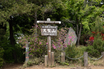 天覧山、頂上、山頂、看板、飯能、埼玉、山、登山、埼玉県