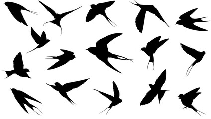 Set of swallow silhouette. realistic shadow flat design vector illustration.