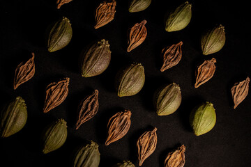 Patterns of Tacacos, the only endemic food in Costa Rica, therefore, it is very important for the culture of Costa Rican culinary identity.