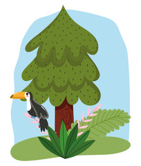 cute animal bird toucan in branch foliage tree cartoon design