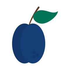 plum fruit icon, flat style
