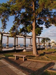 Paseo en la ribera. Punta San Sebastián, Corrientes, Argentina