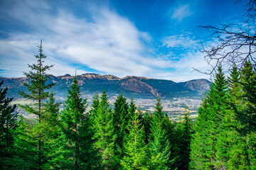 trees and mountain landscape, cerro divisadero