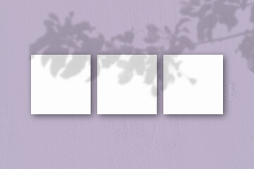 3 square sheets of white textured paper on the lilac wall background. Mockup overlay with the plant shadows. Natural light casts shadows from an exotic plant.. Flat lay, top view