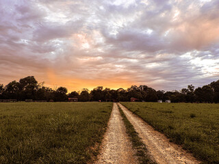 Fototapeta na wymiar Farm Road with Beautiful Sky 