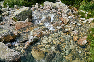 Mountain fresh, cold stream with drinking clean water in High Tatras National Park, Slovakia, Europe. Beautiful world.