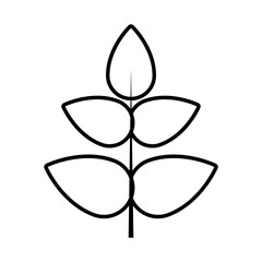 tropical leaf line style icon vector design