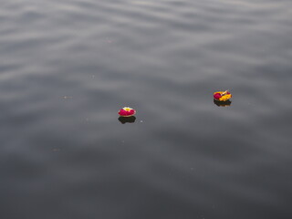 Flowers in the Ganges River, Varanasi, Uttarpradesh, North India, India