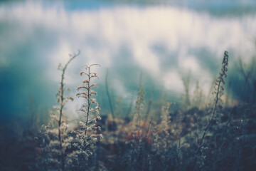 Obraz premium Lake Ruataniwha in Autumn, South Island, New Zealand