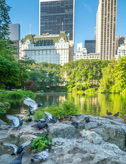 Central Park, New York City at the lake