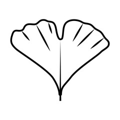 tropical ginkgo biloba leaf line style icon vector design