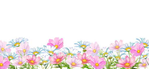 Obraz na płótnie Canvas コスモスとマーガレットの花畑