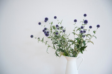 青いアザミを飾った部屋　背景　余白　コピースペース　白背景　シンプルナチュラル