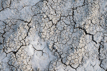 detailed shot of dry cracked earth patterns and texture