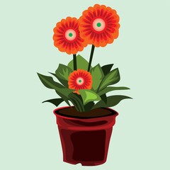 gerbera flower plant in pot