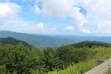 mountain landscape in the summer