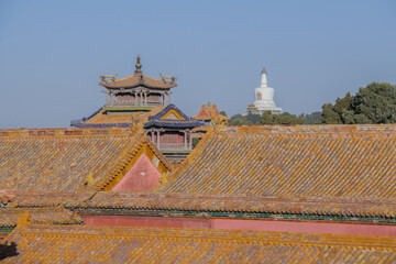 Beijing Rooftop and Temple During the Day