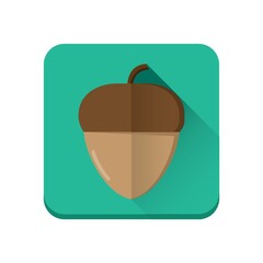 acorn