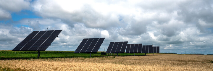 solar panels in wheat field