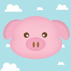 pig face on cloud background