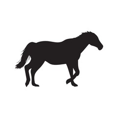 Naklejka na ściany i meble horse silhouette