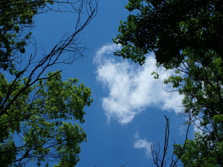 sky