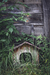 Old abandoned wooden doghouse, weathered by time. Covered by green grass. Selective focus. 