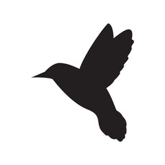 silhouette of hummingbird