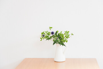 横　白背景　白い花瓶と観葉植物　アザミ　あざみ　シンプル　ナチュラル　心地よい　コピースペース　ホワイトスペース　文字スペース　余白　爽やか　夏　春　白　壁　グラフィック素材