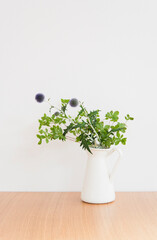 シンプルで爽やかな観葉植物と白背景　　ホワイトスペース