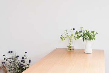 テーブルに置かれた爽やかな観葉植物　　ホワイトスペース